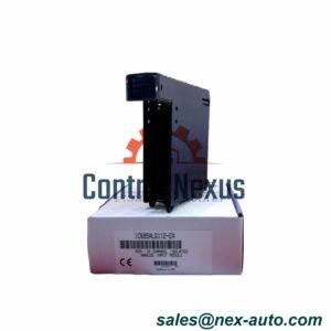 IC695ALG106