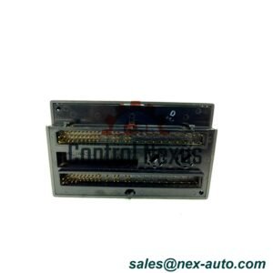IC200ALG430