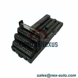 IC200CHS025